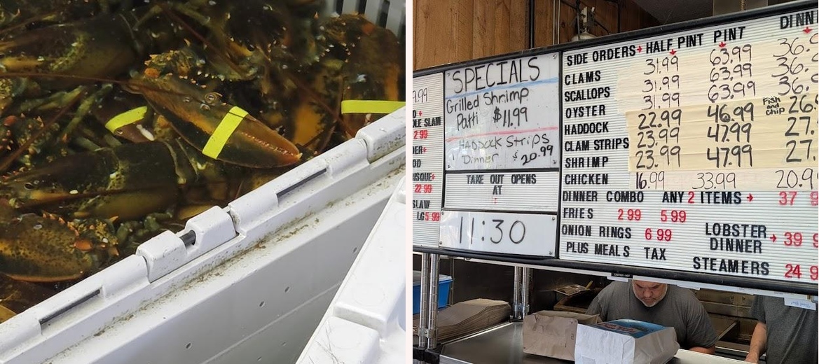 Lobster Connection Gallery Image 2